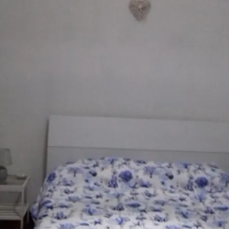 Apartment Viky House *